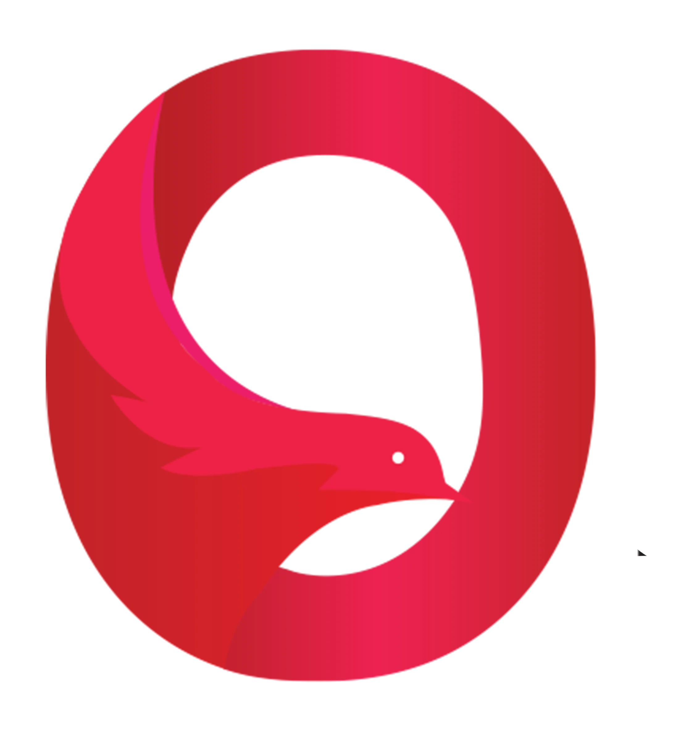  Opra Solutions